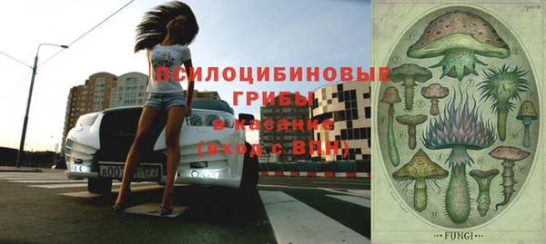 прущие грибы Алексеевка