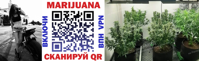 МАРИХУАНА Ganja Арск